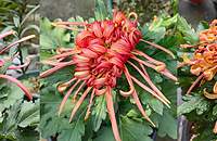 ��������տ����ˣ����;���������������ٵ�