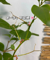 ����һ������÷�޼��ؼ�