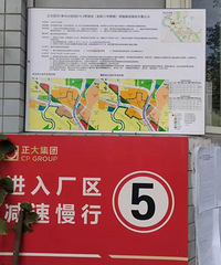 ������ʯ���Ӿ������Ǩ�������������Ǩ�����ڻ���5000��