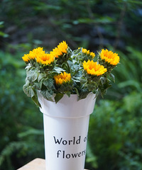 �����������������տ�10֧29.9Ԫ�����÷���