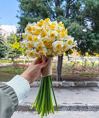 ����ͷ������ˮ�ɻ���29Ԫ100֧��������һ��