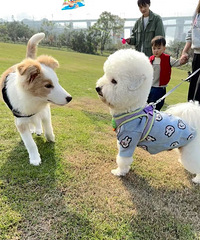 �����ӹ�԰̫�ʺϴ���ȥˣ�ˣ���ƺ�ִ��ֿ���