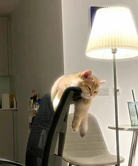 �����Լ�����������