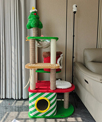 ɽķʥ��è���ܣ��úÿ���