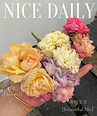 �ֻ���ʵ�������л�����