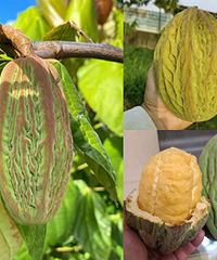 �����ˣ�������Ӿ�Ȼ�ۼ�2980һ��