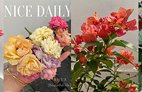 ӵ��̫�������ӣ��̲�ס���������л����ɵ�С��԰