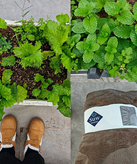 ���䣡������ѩ��ѥ������޴���