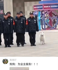 ĳС������������վ��Ϊҵ������ȫ�Ӿ���������