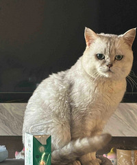 ���棬Ϊʲô�����������ǡ�а�������㡱