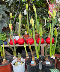 �仨�з���ȫ�����춥���