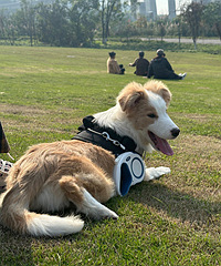 �����ӹ�԰���ʺϴ���ȥˣ