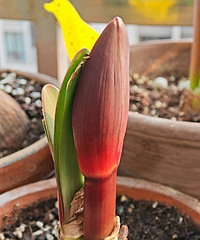 �춥�컨���ùԣ����ǵ���