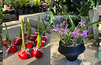 ��ĩ����һȦ���У���������ֶ���ʥ�������춥��