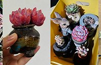 ���˼�ʮ��������׮���⣬С�ɿɰ��洦���ܰ�