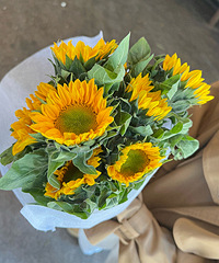 �������տ�����29Ԫʮ֧