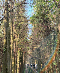 [ȥ��]�山����ɼ����������ͽ�����ߣ�ˮ��+���������⾪ϲ