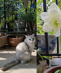 ��һ��������ôƯ���Ļ������а�����