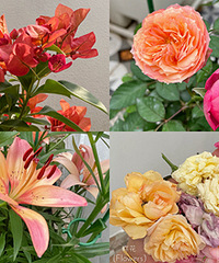 �ٺ��¼�����÷��԰��ʵ�����л�����