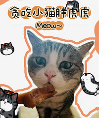 èɶ�Ӷ�Ҫ�ԣ�����������