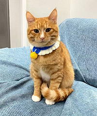 �����è10���º�ı仯