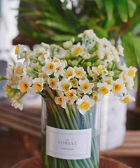 ͷ��ˮ���ʻ�29Ԫһ��֧