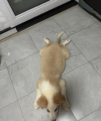 �������治���װ��������Լ����ִ�����