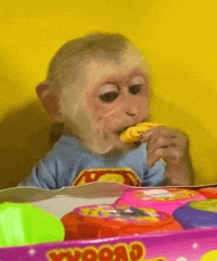 ������ֵ���򡿶�ҷ�Ĥ29����������ȫ�����޲���Ь89