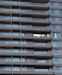 ˵кլζֻ᲻ᱻھͶ