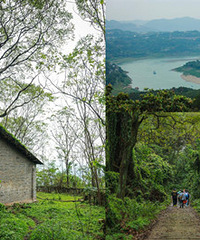 ����ͽ����̫��ζ���ˣ��²�����