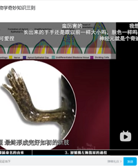 跟女医学博士的相亲就这么黄了,我一个臭打游戏的能有什么坏心思