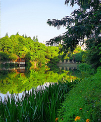 �̵�һ�¸��������á�ֵ��������󷿣������ղ�