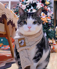 [�Ķ�]ϲ���³��ĳ���Χ��Ҳ̫�ɰ��˰ɣ���û��С�������ѽ