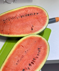 ����Ե����ʵ����ϣ�ˬ��