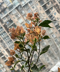 �������ĩ�ʺϽ������������ϸ裬���ů�͵����緹