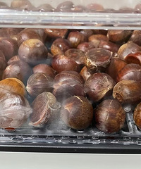 ���ٸ����ӡ��������ӡ������������� = ���죡