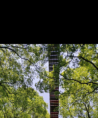 ƽ̨δ�ѵ���ԭ�������������������໥�����ϣ��������ƣ�