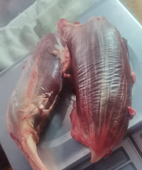 �ɹ��������ϵ�±ţ���ӣ�����ϸ�̳�