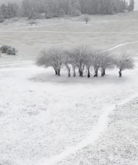 高山飘雪!仙女山金佛山下雪了