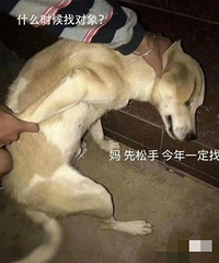 88年176CM的管理哥子征婚,不抽烟不喝酒
