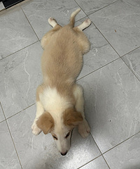 �������ף�����ѧ�������