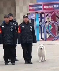 ĳС��������Ϊҵ��վ��