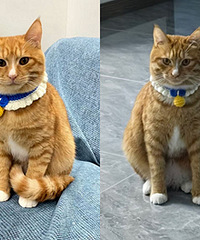 10���µ��ɱ䣡�����Կ�û�䡭��