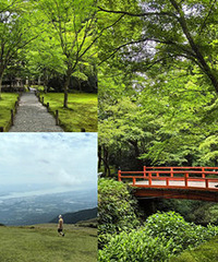 �ֵ��ձ�����һ��ѡ�Ķ������ŵ�