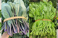 һ��������г���ȫ����Щ�߲ˣ�����ϲ�������֣�