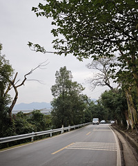 �����������������о�Ҫ�������ˣ����ĳԺ��