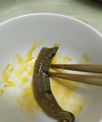 ��ͥ������ëѪ����̫�ó��ˣ������Ū�˺��Ҹ�