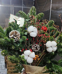 [����]�ֵ�����ʥ��װ�ε�ʱ��29һ�ѵĻ����ÿ����з�Χ��