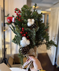 29���ʥ�������ܷ�Χ��