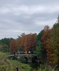 ���山����ˮ��һȦ���ڵ��˵�һ���۶������۶�������